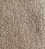 Snuggle Boucle Kids Twin Bed With Box Storage In Beige Colour