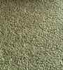 Snuggle Boucle Kids Twin Bed With Box Storage In olive Colour