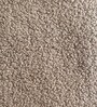 Snuggle Kids Toddler Bed In Beige Colour