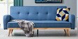 Baxter Convertible Sofa Cum Bed in Classic Blue Colour