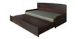 Herald Pull-Out Sofa Cum Bed in Walnut & Wenge Finish with Storage