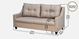 Soma Fabric 3 Seater Sofa in Brown Colour