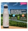 620 ml Insulated Stainless Steel Water Bottle