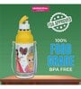 Varmora Sofia kids Printed with inner Steel Insulated Water Bottle