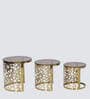 Sofia Nesting Coffee Table (Set Of 3) In Black & Gold Finish