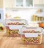 SoFresh Rectangular Containers 900ML (2pcs Set)