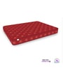 Soft Bounce 4 Inch Herb Fresh Foam Mattress In Queen Size