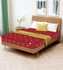Soft Bounce 5 Inch Herb Fresh Foam Mattress In King Size