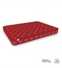 Soft Bounce Herb Fresh Technology | Back Care | Direct from Factory High Density (HD) Foam 6 Inches King Size Mattress in Maroon Colour