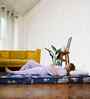 Soft Bounce Tri-Fold 4 Inch (75X30) In Blue Colour Single Folding Mattress