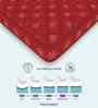 Soft Bounce Tri-Fold 4 Inch Foam (72x35) In Maroon Colour Single Folding Mattress
