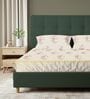 Soft Brown Floral 200 TC Cotton King Sized Fitted Bedsheet with 2 Pillow Covers