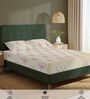 Soft Brown Floral 200 TC Cotton Single Bedsheet with 1 Pillow Cover