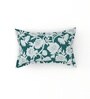 Green Soft Cotton Breathable and Wrinkel Free Double Fitted Bedsheet with 2 Pillow Covers