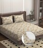 Beige Soft Cotton Breathable and Wrinkel Free Double Fitted Bedsheet with 2 Pillow Covers