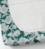 Green Soft Cotton Breathable and Wrinkel Free Double Fitted Bedsheet with 2 Pillow Covers