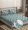 Green Soft Cotton Breathable and Wrinkel Free Double Fitted Bedsheet with 2 Pillow Covers
