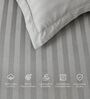 Grey 300TC 100% Cotton Stripe Flat Super King Bedsheet with 2 Pillow Covers