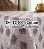 Soft Lavender Grace Double 186 TC Cotton Bedsheet With 2 Matching Pillow Covers