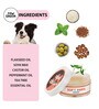 Soft Paws 30g Paw Moisturizing Cream