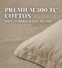 Cream 300TC 100% Cotton Flat Chekered Super King Bedsheet with 2 Pillow Covers