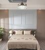 Soft Pearl 300TC 100% Cotton Solid Flat Embroidered Super King Bedsheet With 2 Pillow Covers