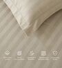 Cream 300TC 100% Cotton Stripe Flat Super King Bedsheet with 2 Pillow Covers
