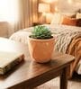 Light Peach Ceramic Flower Pot