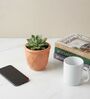 Light Peach Ceramic Flower Pot