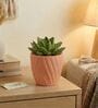 Peach Ceramic 4-Inch Flower Pot