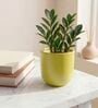 Yellow Ceramic 5-Inch Flower Pot