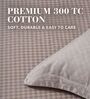 Soft Smoke 300TC 100% Cotton Flat Chekered Super King Bedsheet with 2 Pillow Covers