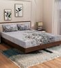 Brown Floral 180 TC Polyester King Sized Bedsheet With 2 Pillow Covers