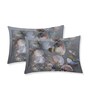 Grey Floral 180 TC Polyester King Sized Bedsheet With 2 Pillow Covers