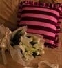 Soho Stripes Multipurpose Cushion