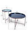 Solaire Nesting Coffee Table (Set Of 2) In Blue & Green Finish