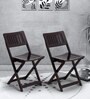 Soli Folding Chair (Set of 2) in Brown Colour
