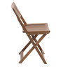Soli Folding Chair (Set of 2) in Teak Colour