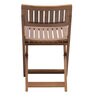 Soli Folding Chair (Set of 2) in Teak Colour