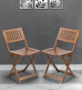 Soli Folding Chair (Set of 2) in Teak Colour