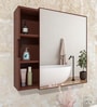 Solid Brown Engineered Wood Bathroom Cabinet