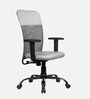 Solid Breathable Mesh  Ergonomic Chair In Grey Colour
