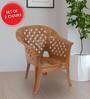 Solocane Plastic Chair in Pear Wood Finish, Set of 2