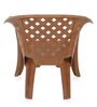 Solocane Plastic Chair in Pear Wood Finish, Set of 2
