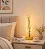 3 in1 Touch Control 3D Acrylic LED Cordless Plugin Night Lamp