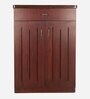Soncy Shoe Cabinet in Teak Finish