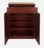 Soncy Shoe Cabinet in Teak Finish
