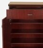 Soncy Shoe Cabinet in Teak Finish