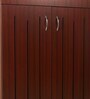 Soncy Shoe Cabinet in Rose Wood Finish