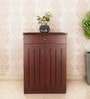 Soncy Shoe Cabinet in Teak Finish